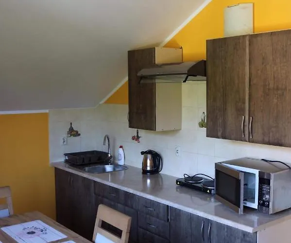 Dana * שצ'צ'ירק